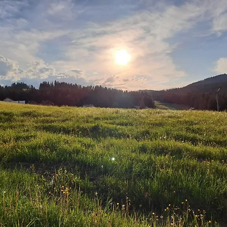 Apartment 31 - Erdody *