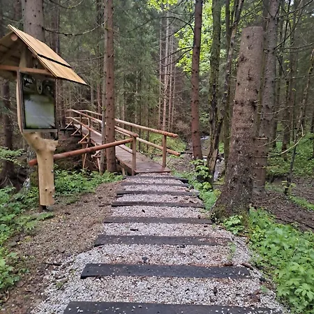 31 - Erdődy *